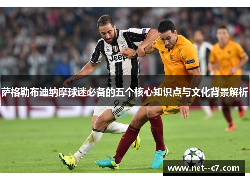 萨格勒布迪纳摩球迷必备的五个核心知识点与文化背景解析
