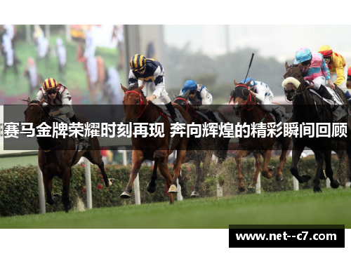 赛马金牌荣耀时刻再现 奔向辉煌的精彩瞬间回顾