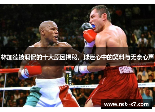 林加德被调侃的十大原因揭秘，球迷心中的笑料与无奈心声