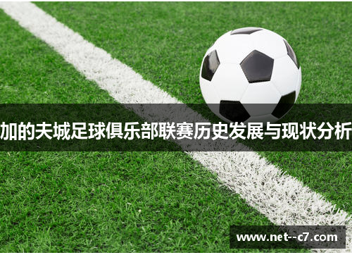 加的夫城足球俱乐部联赛历史发展与现状分析 加的夫城足球俱乐部联赛历史发展与现状分析