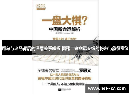 魔鸟与老马背后的深层关系解析 揭秘二者命运交织的秘密与象征意义 魔鸟与老马背后的深层关系解析 揭秘二者命运交织的秘密与象征意义