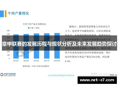 意甲联赛的发展历程与现状分析及未来发展趋势探讨 意甲联赛的发展历程与现状分析及未来发展趋势探讨