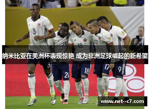 纳米比亚在美洲杯表现惊艳 成为非洲足球崛起的新希望