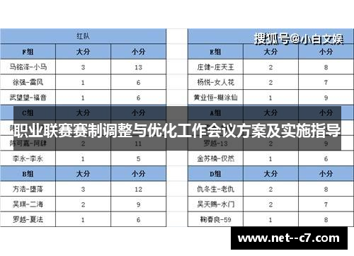 职业联赛赛制调整与优化工作会议方案及实施指导
