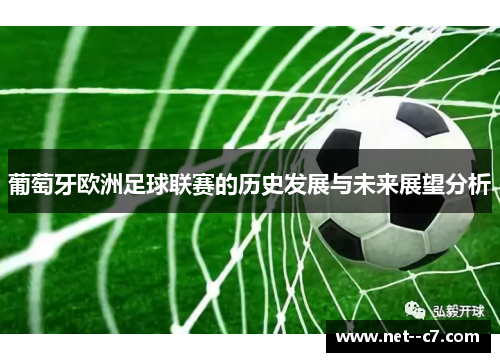 葡萄牙欧洲足球联赛的历史发展与未来展望分析