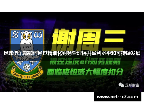 足球俱乐部如何通过精细化财务管理提升盈利水平和可持续发展