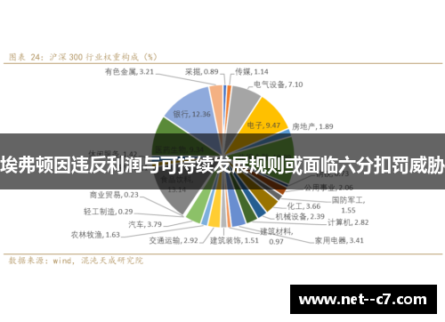 埃弗顿因违反利润与可持续发展规则或面临六分扣罚威胁 埃弗顿因违反利润与可持续发展规则或面临六分扣罚威胁