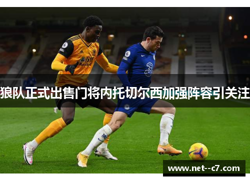 狼队正式出售门将内托切尔西加强阵容引关注