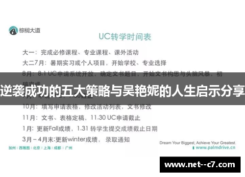 逆袭成功的五大策略与吴艳妮的人生启示分享
