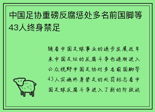 中国足协重磅反腐惩处多名前国脚等43人终身禁足 中国足协重磅反腐惩处多名前国脚等43人终身禁足